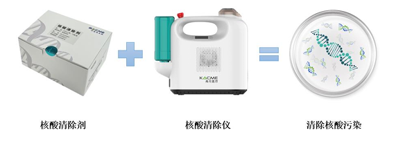 1737526216608955.png image.png